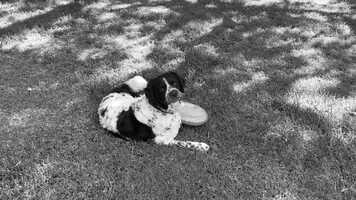 Free download 50 The Movie.mov video and edit with RedcoolMedia movie maker MovieStudio video editor online and AudioStudio audio editor onlin