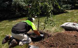 Free download 524-924 Action 3 video and edit with RedcoolMedia movie maker MovieStudio video editor online and AudioStudio audio editor onlin