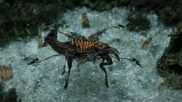 Free download 金馬56【最佳動畫短片_Best Animated Short Film】 video and edit with RedcoolMedia movie maker MovieStudio video editor online and AudioStudio audio editor onlin