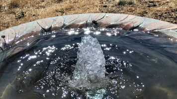 Free download 5a3 Wasps Drinking from Fountain (no voice) video and edit with RedcoolMedia MovieStudio video editor online and AudioStudio audio editor onlin