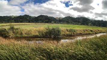 Free download 5a7 Elk Territory (no voice) video and edit with RedcoolMedia movie maker MovieStudio video editor online and AudioStudio audio editor onlin