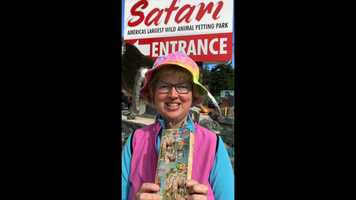 Free download 5a7 Safari Intro video and edit with RedcoolMedia MovieStudio video editor online and AudioStudio audio editor onlin