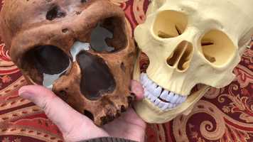 Free download 5b3 Neanderthals and Sapiens video and edit with RedcoolMedia movie maker MovieStudio video editor online and AudioStudio audio editor onlin