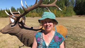 Free download 5c3 Predator Strategies video and edit with RedcoolMedia MovieStudio video editor online and AudioStudio audio editor onlin