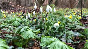 Free download 5FT_TRAILER_GunnelCarlson video and edit with RedcoolMedia movie maker MovieStudio video editor online and AudioStudio audio editor onlin