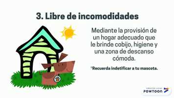 Free download 5 libertades del bienestar animal video and edit with RedcoolMedia movie maker MovieStudio video editor online and AudioStudio audio editor onlin