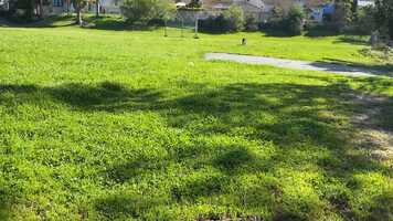 Free download 5 Month Old German Shepherd Puppy For Adoption in San Jose CA video and edit with RedcoolMedia movie maker MovieStudio video editor online and AudioStudio audio editor onlin