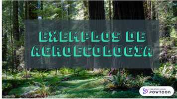 Free download 5 Quick Facts video and edit with RedcoolMedia movie maker MovieStudio video editor online and AudioStudio audio editor onlin