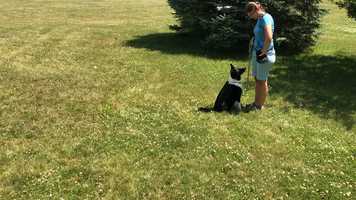 Free download 5. Stay video and edit with RedcoolMedia movie maker MovieStudio video editor online and AudioStudio audio editor onlin