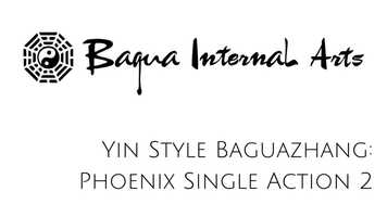 Free download 5 YSB Phoenix Basic Practices Single Action 2.mp4 video and edit with RedcoolMedia movie maker MovieStudio video editor online and AudioStudio audio editor onlin