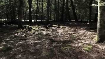 Free download 6302767 Asko Brand Movie 2018 1M56seg Lowres VACA video and edit with RedcoolMedia movie maker MovieStudio video editor online and AudioStudio audio editor onlin