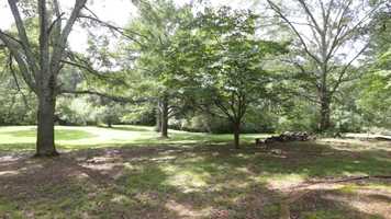 Free download 64970 with music jazz video and edit with RedcoolMedia movie maker MovieStudio video editor online and AudioStudio audio editor onlin