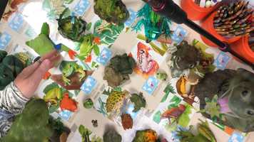 Free download 6a5 Frogs vs. Toads video and edit with RedcoolMedia movie maker MovieStudio video editor online and AudioStudio audio editor onlin