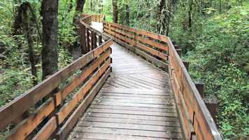 Free download 6a6 Finley Boardwalk-ing (no voice) video and edit with RedcoolMedia MovieStudio video editor online and AudioStudio audio editor onlin