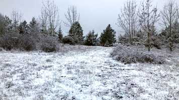 Free download 6b7 Snow Scene (no voice, bird chirp) video and edit with RedcoolMedia movie maker MovieStudio video editor online and AudioStudio audio editor onlin