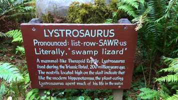 Free download 6c4 Lystrosaurus video and edit with RedcoolMedia movie maker MovieStudio video editor online and AudioStudio audio editor onlin