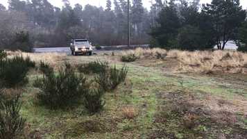 Free download 76 F100 4X4 video and edit with RedcoolMedia movie maker MovieStudio video editor online and AudioStudio audio editor onlin