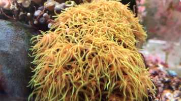 Free download 7b5 ID-f (no sound) video and edit with RedcoolMedia movie maker MovieStudio video editor online and AudioStudio audio editor onlin