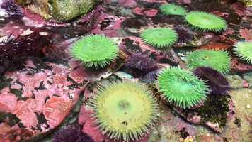 Free download 7c5 Touch Pool (no voice) video and edit with RedcoolMedia movie maker MovieStudio video editor online and AudioStudio audio editor onlin