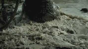 Free download 7elephant_30sec_trailer_Master video and edit with RedcoolMedia movie maker MovieStudio video editor online and AudioStudio audio editor onlin