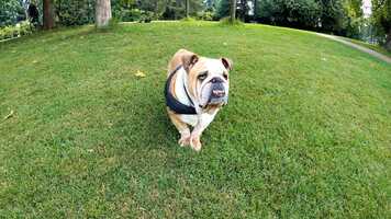 Free download 8K sample movie 2 video and edit with RedcoolMedia movie maker MovieStudio video editor online and AudioStudio audio editor onlin