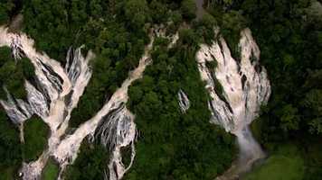 Free download 8 Million Hectares Gone in 2019 After Fires Devastate The Amazon Rainforest. The Movement Responds. video and edit with RedcoolMedia movie maker MovieStudio video editor online and AudioStudio audio editor onlin