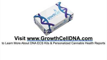 Free download #8 - What Does The Future Look Like For Cannabis DNA Personalized Reporting? video and edit with RedcoolMedia movie maker MovieStudio video editor online and AudioStudio audio editor onlin