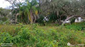 Free download 9524 Louisa Woods Ct Clermont, FL 34711 video and edit with RedcoolMedia movie maker MovieStudio video editor online and AudioStudio audio editor onlin