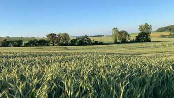 Free download 9of145 145TunesForSelf video and edit with RedcoolMedia movie maker MovieStudio video editor online and AudioStudio audio editor onlin