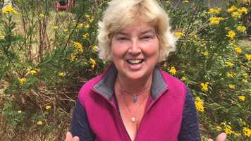 Free download A2A Development video and edit with RedcoolMedia movie maker MovieStudio video editor online and AudioStudio audio editor onlin