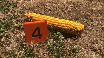 Free download A2B Technologies video and edit with RedcoolMedia movie maker MovieStudio video editor online and AudioStudio audio editor onlin