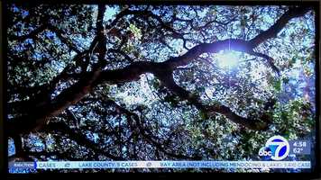 Free download ABC7 news Zen 4/15/20 video and edit with RedcoolMedia movie maker MovieStudio video editor online and AudioStudio audio editor onlin