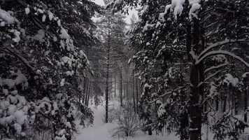 Free download A Blizzard Stock Video video and edit with RedcoolMedia movie maker MovieStudio video editor online and AudioStudio audio editor onlin