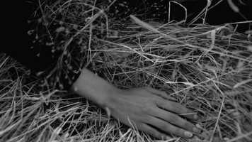 Free download A_BOOK_ABOUT_MELODY_MIR_TRAILER video and edit with RedcoolMedia movie maker MovieStudio video editor online and AudioStudio audio editor onlin