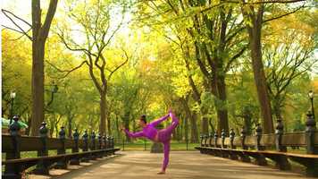 Free download About Us: Sun Salutations is a Yoga Greeting Card Company video and edit with RedcoolMedia movie maker MovieStudio video editor online and AudioStudio audio editor onlin