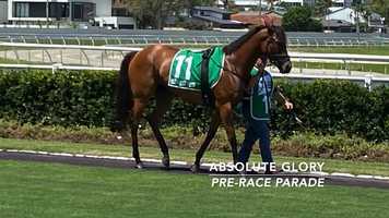 Free download Absolute Glory Post Race Report: 15th February video and edit with RedcoolMedia movie maker MovieStudio video editor online and AudioStudio audio editor onlin