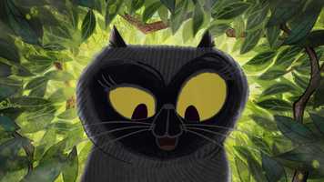 Free download A Cat Called Jam - trailer video and edit with RedcoolMedia movie maker MovieStudio video editor online and AudioStudio audio editor onlin