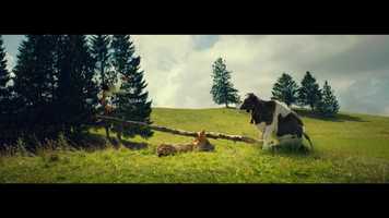 Free download Łaciate - Przyjaciele video and edit with RedcoolMedia movie maker MovieStudio video editor online and AudioStudio audio editor onlin