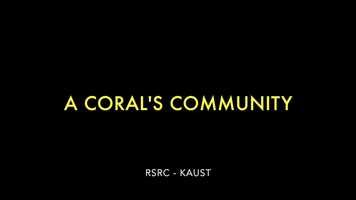 Free download A Corals Community video and edit with RedcoolMedia movie maker MovieStudio video editor online and AudioStudio audio editor onlin