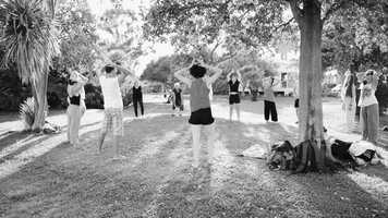 Free download A Corpo Vivo Festival 2020 video and edit with RedcoolMedia movie maker MovieStudio video editor online and AudioStudio audio editor onlin