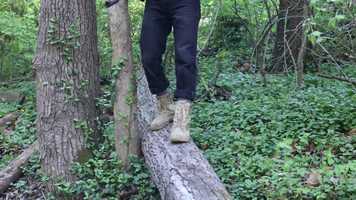 Free download Action to bff video and edit with RedcoolMedia movie maker MovieStudio video editor online and AudioStudio audio editor onlin