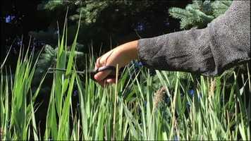 Free download A Cut Apart Trailer video and edit with RedcoolMedia movie maker MovieStudio video editor online and AudioStudio audio editor onlin