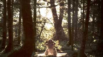 Free download Adam Hart Showreel 2020 video and edit with RedcoolMedia movie maker MovieStudio video editor online and AudioStudio audio editor onlin