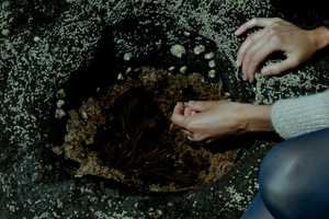 Free download A Dana do Cipreste - trailer video and edit with RedcoolMedia movie maker MovieStudio video editor online and AudioStudio audio editor onlin