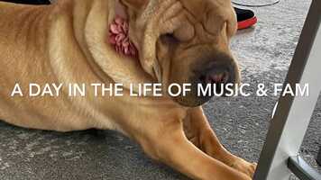 Free download A Day In The Life Of Music video and edit with RedcoolMedia movie maker MovieStudio video editor online and AudioStudio audio editor onlin