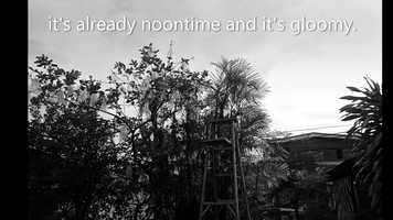 Free download A Day in the Life of Quarantine.mp4 video and edit with RedcoolMedia movie maker MovieStudio video editor online and AudioStudio audio editor onlin