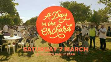Free download A Day in the Orchard 2020 video and edit with RedcoolMedia movie maker MovieStudio video editor online and AudioStudio audio editor onlin