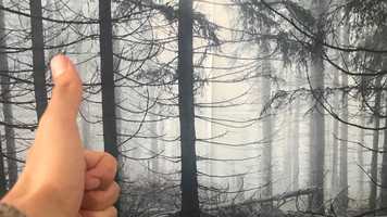 Free download AD Dark 1 - TablMotif video and edit with RedcoolMedia movie maker MovieStudio video editor online and AudioStudio audio editor onlin