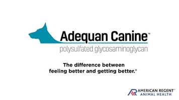 Free download Adequan Canine MOA Video Jan 2020 video and edit with RedcoolMedia movie maker MovieStudio video editor online and AudioStudio audio editor onlin