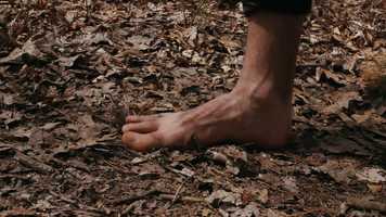 Free download Adham Elnashai Showreel video and edit with RedcoolMedia movie maker MovieStudio video editor online and AudioStudio audio editor onlin